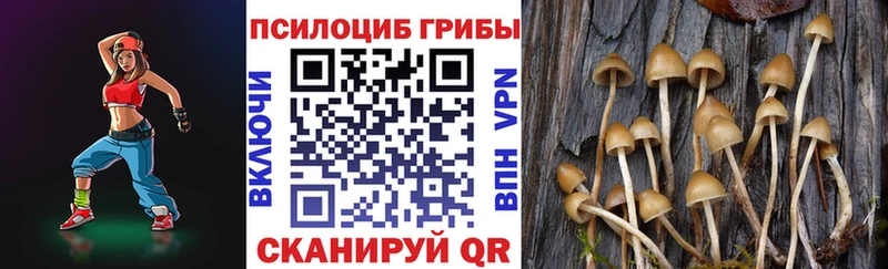 Псилоцибиновые грибы мухоморы  Ликино-Дулёво 